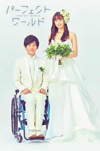 دانلود سریال Perfect World 2019