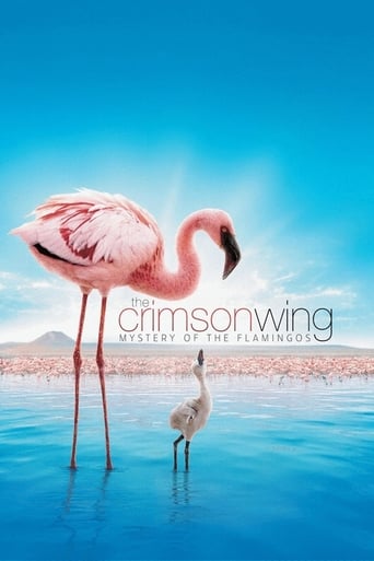 دانلود فیلم The Crimson Wing: Mystery of the Flamingos 2008